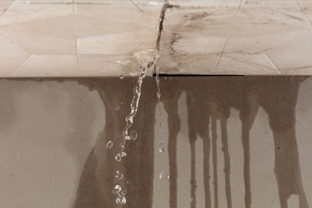 Professional Water Damage Repair technician working in Kerman, CA